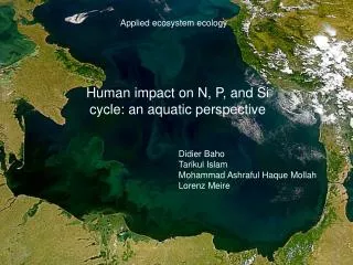 Human impact on N, P, and Si cycle: an aquatic perspective