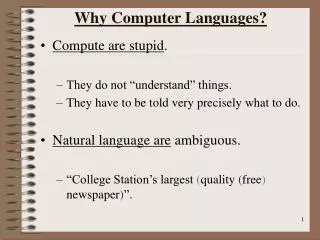 Why Computer Languages?