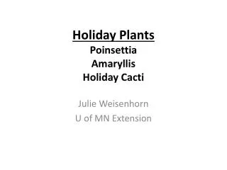 Holiday Plants Poinsettia Amaryllis Holiday Cacti