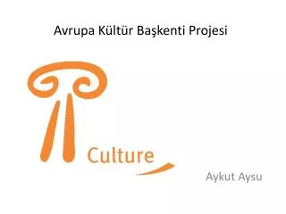 aykut aysu