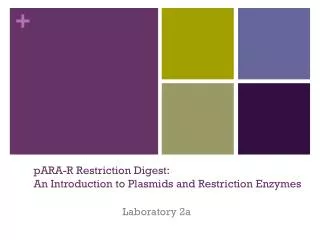 pARA -R Restriction Digest: An Introduction to Plasmids and Restriction Enzymes