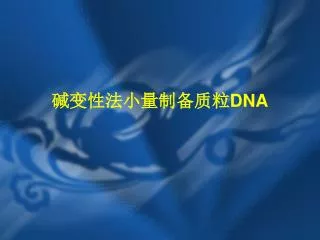 碱变性法小量制备质粒 DNA