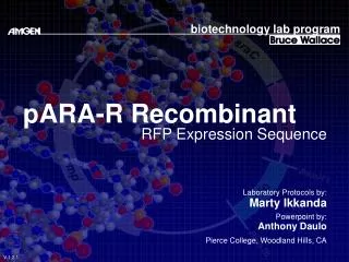 pARA-R Recombinant