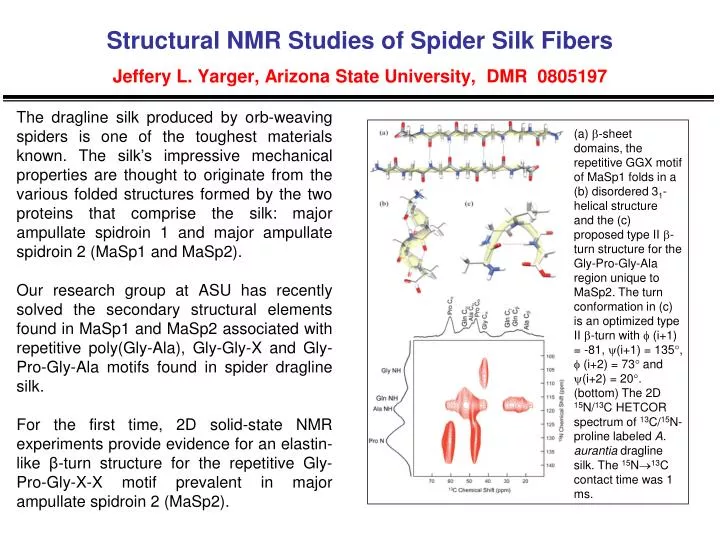 structural nmr studies of spider silk fibers jeffery l yarger arizona state university dmr 0805197