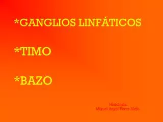 ganglios linf ticos timo bazo