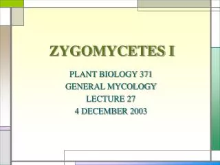 ZYGOMYCETES I