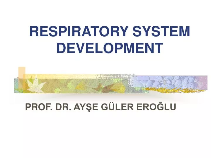 respiratory system development