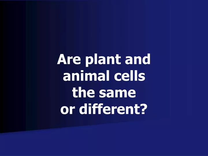 are plant and animal cells the same or different