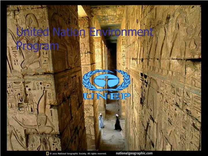 united nation environment program