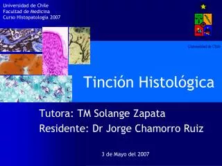 tinci n histol gica
