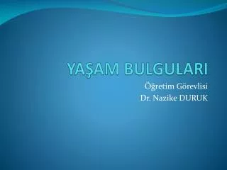 ya am bulgulari