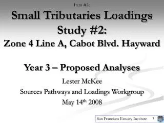 Lester McKee Sources Pathways and Loadings Workgroup May 14 th 2008