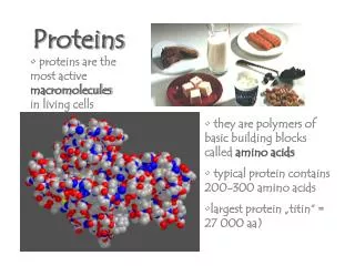 proteins
