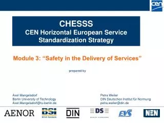 CHESSS CEN Horizontal European Service Standardization Strategy