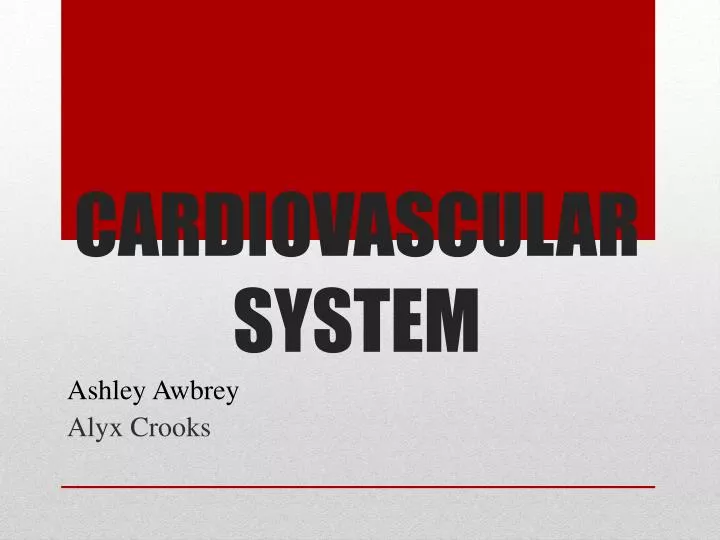 cardiovascular system