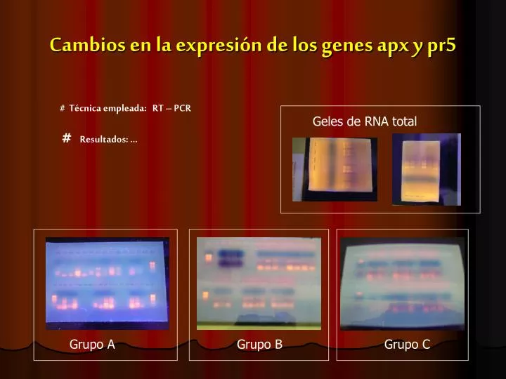 cambios en la expresi n de los genes apx y pr5