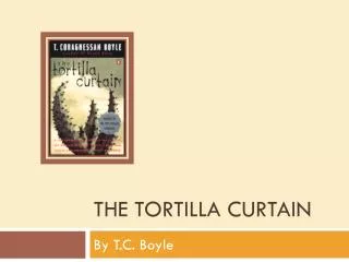 THE Tortilla Curtain