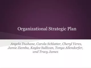 Organizational Strategic Plan