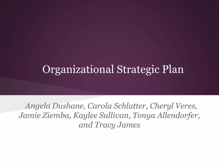 organizational strategic plan