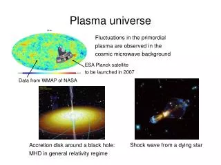Plasma universe
