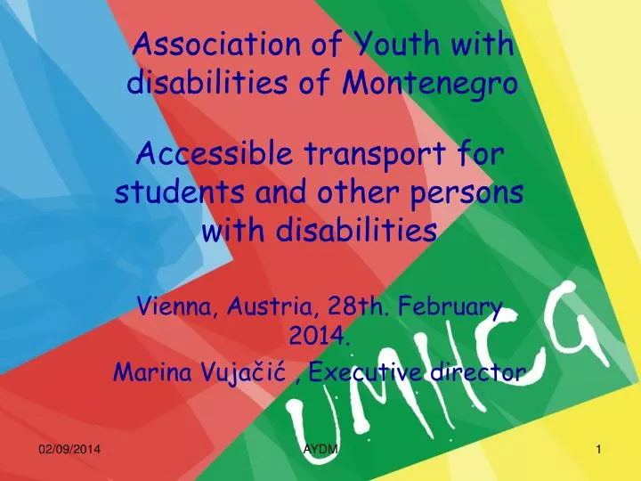 association of youth with disabilities of montenegro