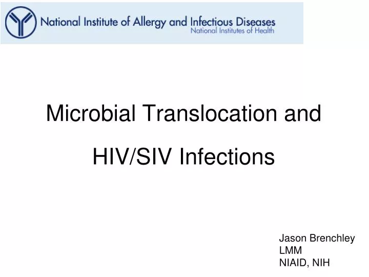 microbial translocation and hiv siv infections