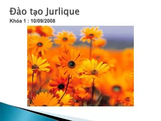 o t o jurlique kh a 1 10 09 2008