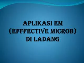 aplikasi em efffective microb di ladang