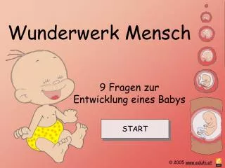 wunderwerk mensch