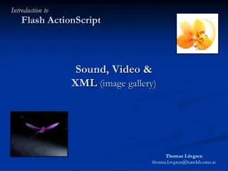 Sound, Video &amp; XML (image gallery)