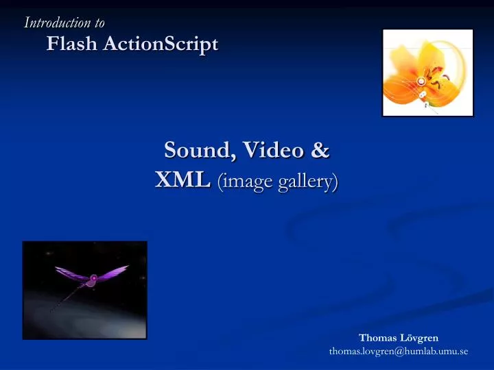 sound video xml image gallery