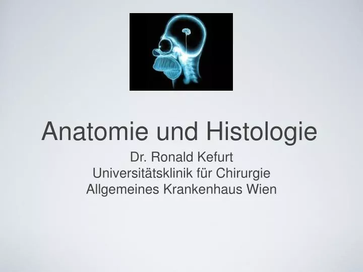 anatomie und histologie