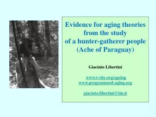 Evidence for aging theories from the study of a hunter-gatherer people (Ache of Paraguay)