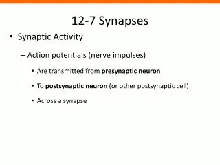 12-7 Synapses