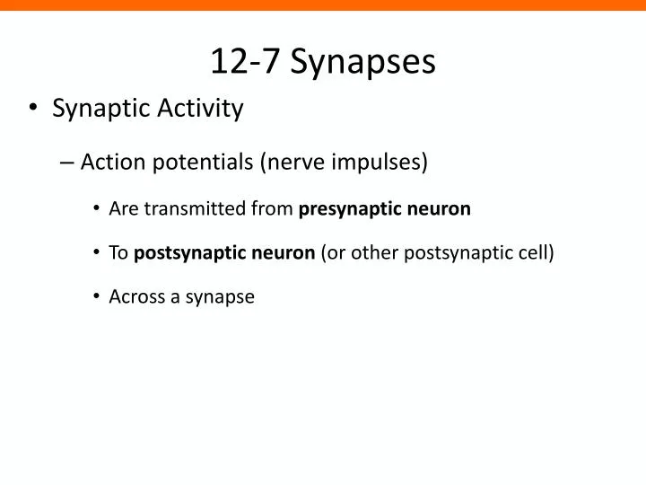 12 7 synapses