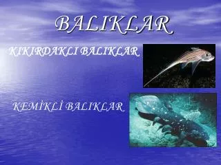 baliklar