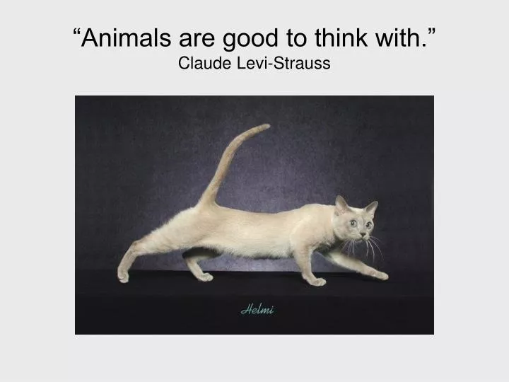 animals are good to think with claude levi strauss