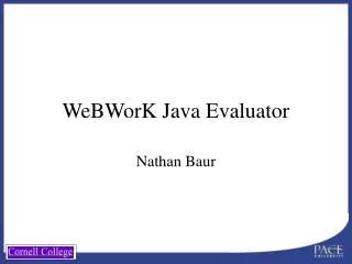 WeBWorK Java Evaluator