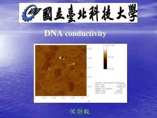 DNA conductivity
