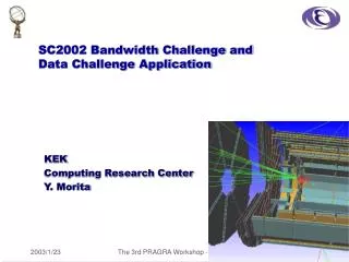 SC2002 Bandwidth Challenge and Data Challenge Application