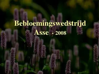 bebloemingswedstrijd asse 2008