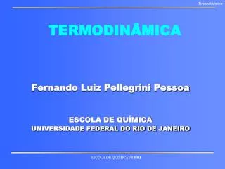 termodin mica