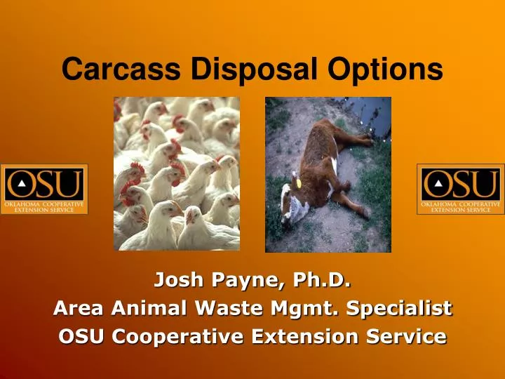 carcass disposal options