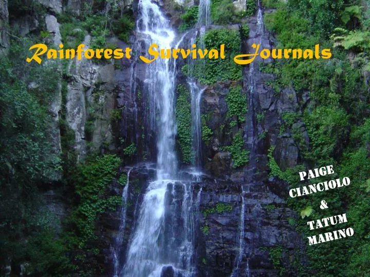 rainforest survival journals