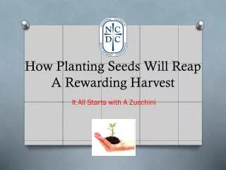 How Planting Seeds Will Reap A Rewarding Harvest