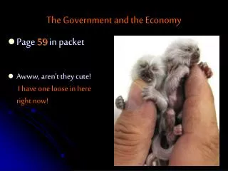 The Government and the Economy