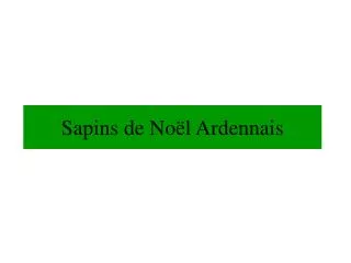 sapins de no l ardennais