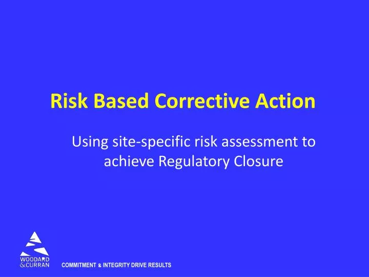 risk based corrective action