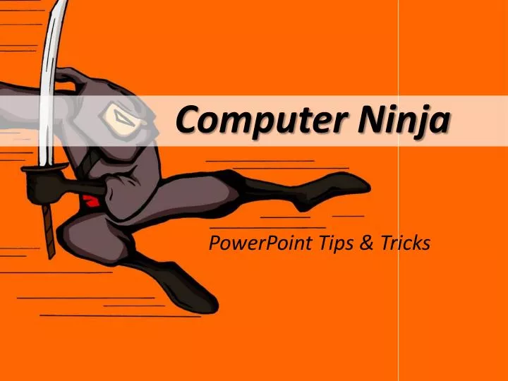 computer ninja