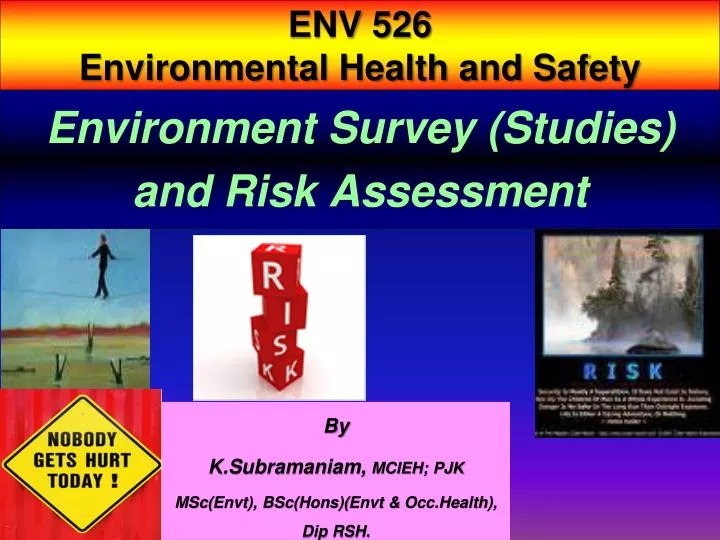 environment survey studies and risk assessment